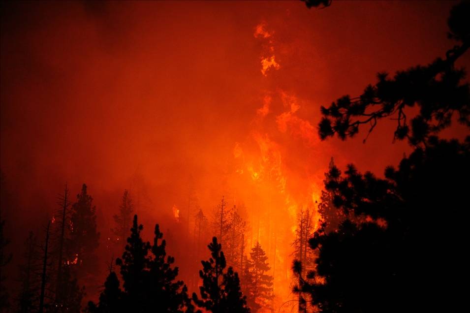 California'daki "Caldor" yangını 756 kilometrekare alanı tahrip etti 2