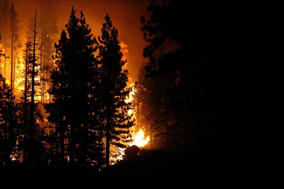 California'daki "Caldor" yangını 756 kilometrekare alanı tahrip etti 3