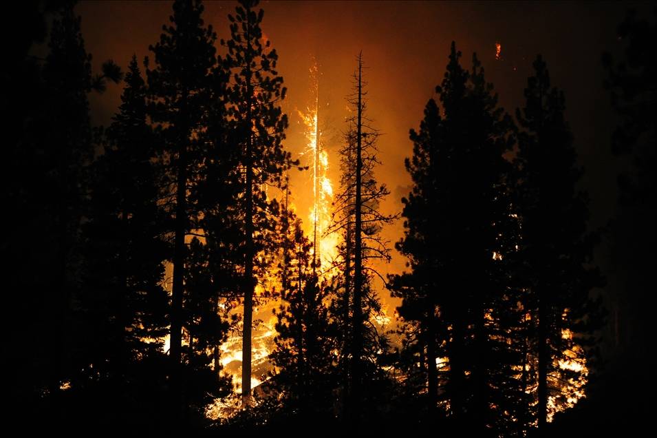 California'daki "Caldor" yangını 756 kilometrekare alanı tahrip etti 4