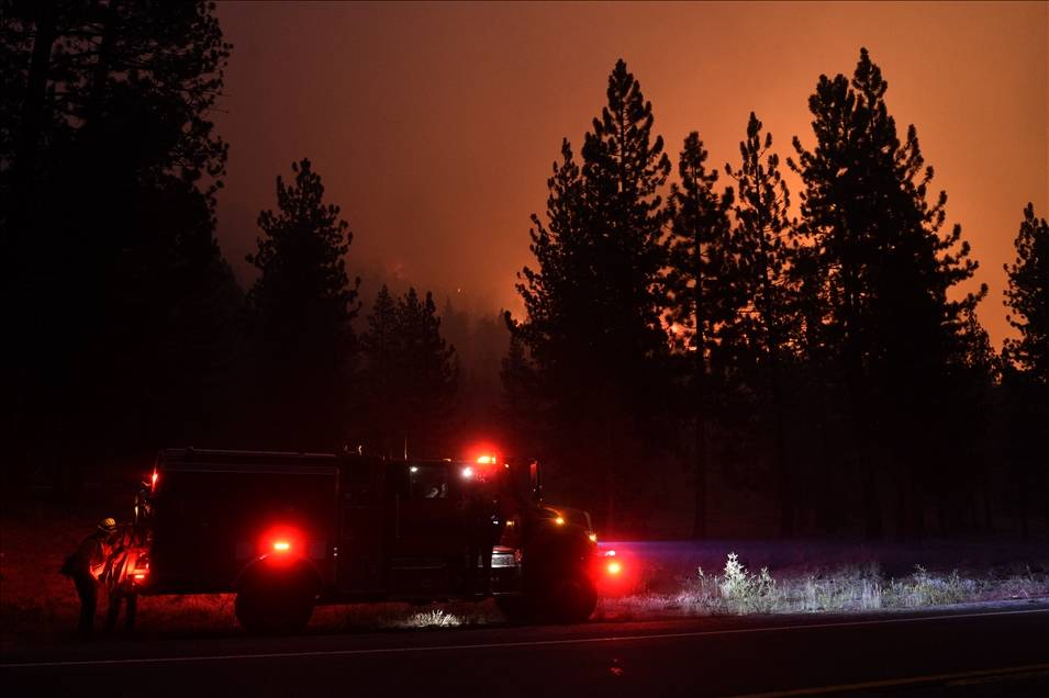 California'daki "Caldor" yangını 756 kilometrekare alanı tahrip etti 6