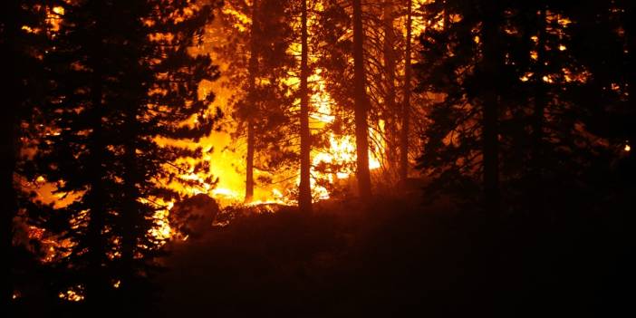 California'daki "Caldor" yangını 756 kilometrekare alanı tahrip etti