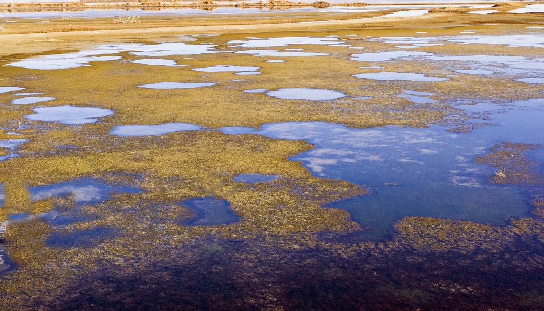 Konya'daki Suğla Gölü, mevsimsel kuraklık nedeniyle zor günler yaşıyor 4
