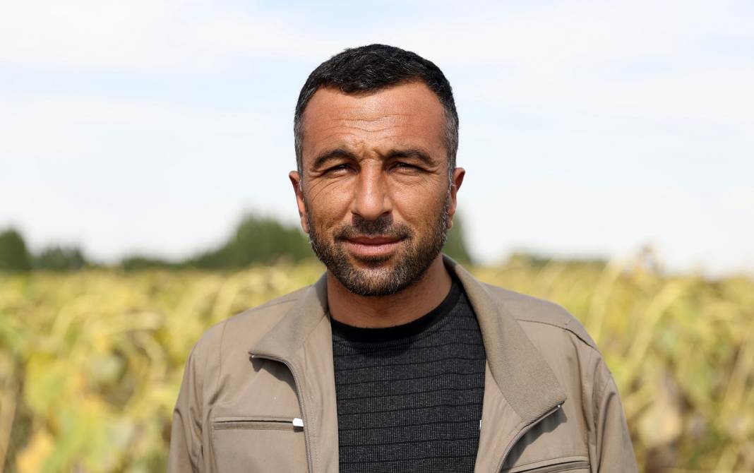 Konya Ovası'nda yağlık ayçiçeği verimiyle çiftçinin yüzünü güldürüyor 11