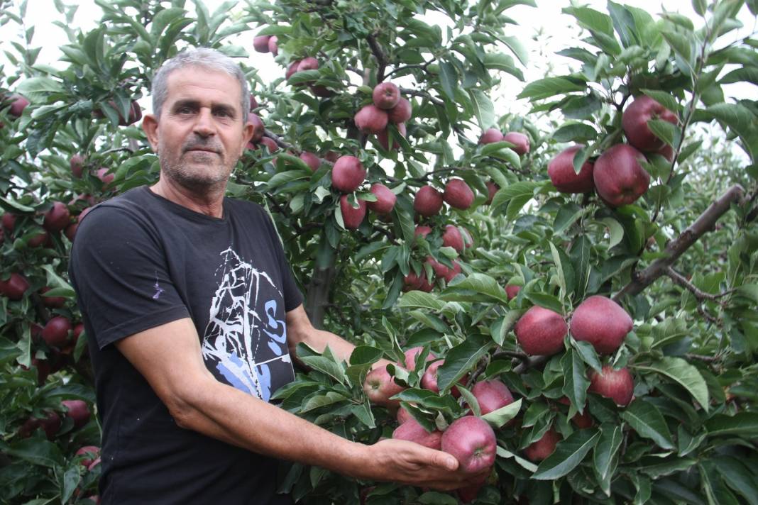 Emekli astsubay kurduğu hobi bahçesinde organik elma yetiştiriyor 4