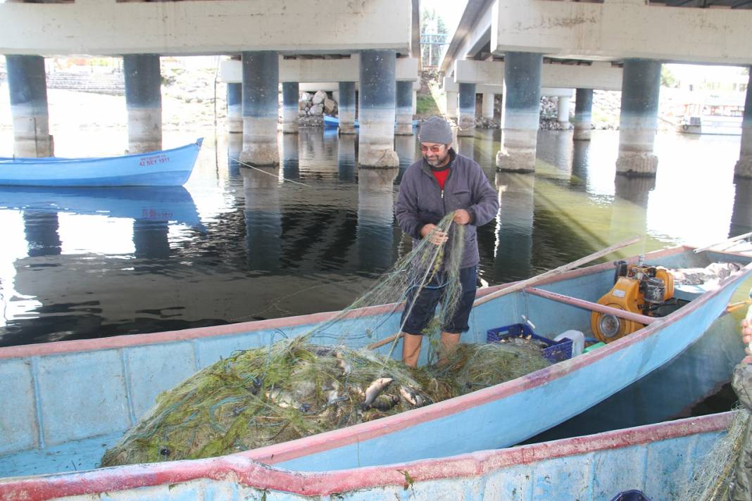 Beyşehirli balıkçılar Çin sazanıyla yurt dışına açıldı 10