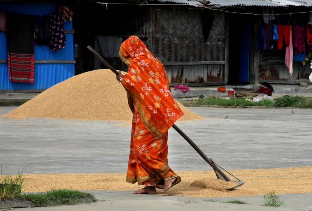 Bangladeş'te 'Kırsalda Yaşayan Kadınlar Günü' 5