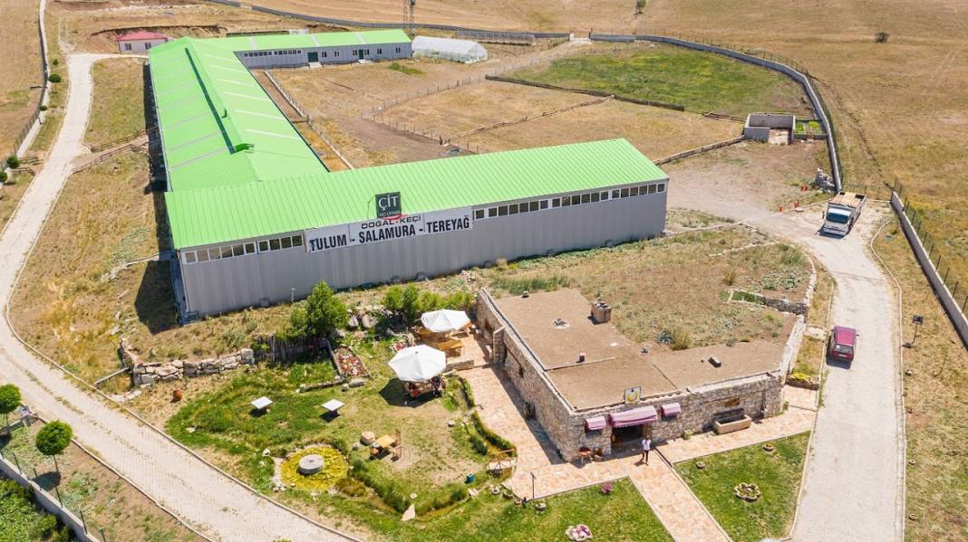 Alpler'de başlayan keçi çiftliği hayalini devlet desteğiyle Sivas'ta gerçekleştirdi 4