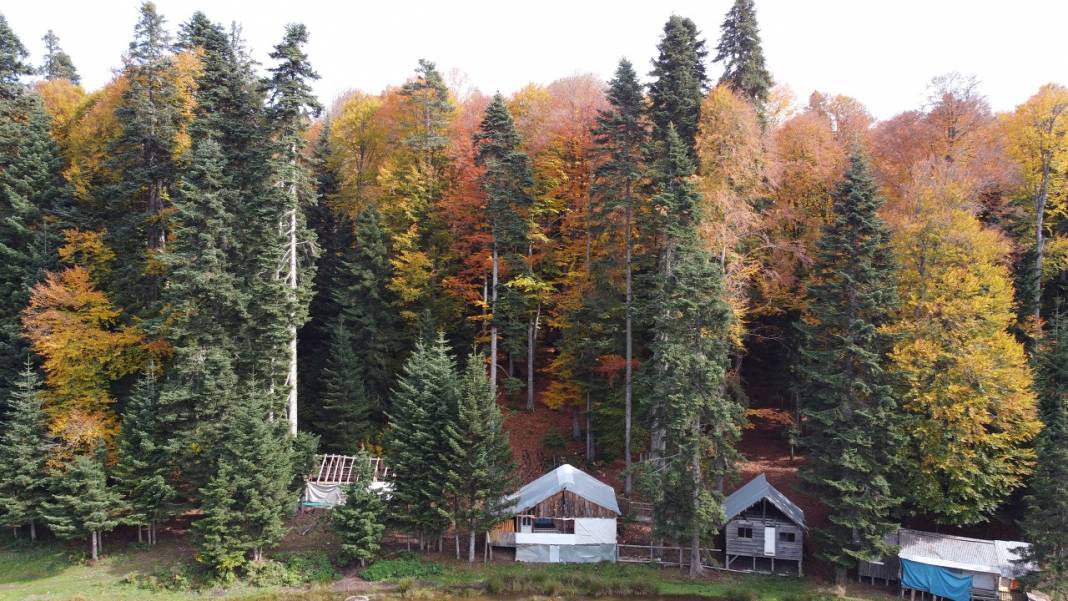 Pürenli Yaylası'nda sonbaharda renk cümbüşü yaşanıyor 4