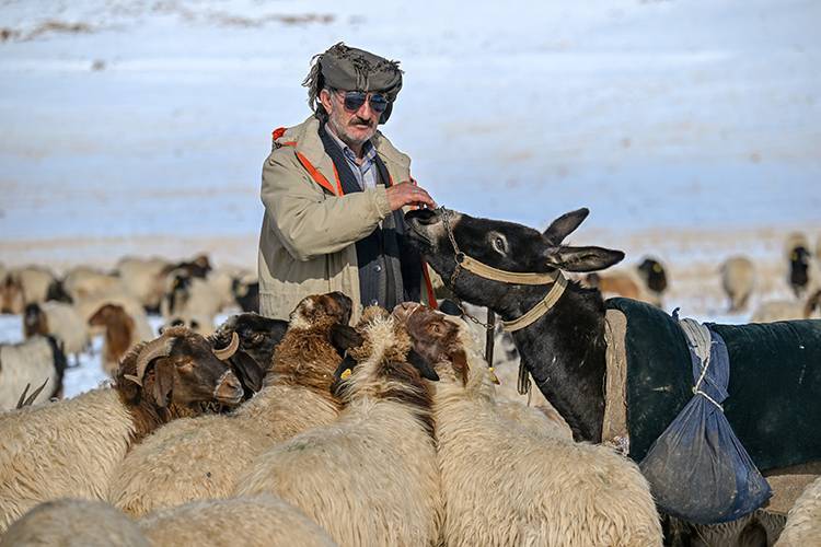 Besiciler karla kaplı yaylalardan dönüyor 1