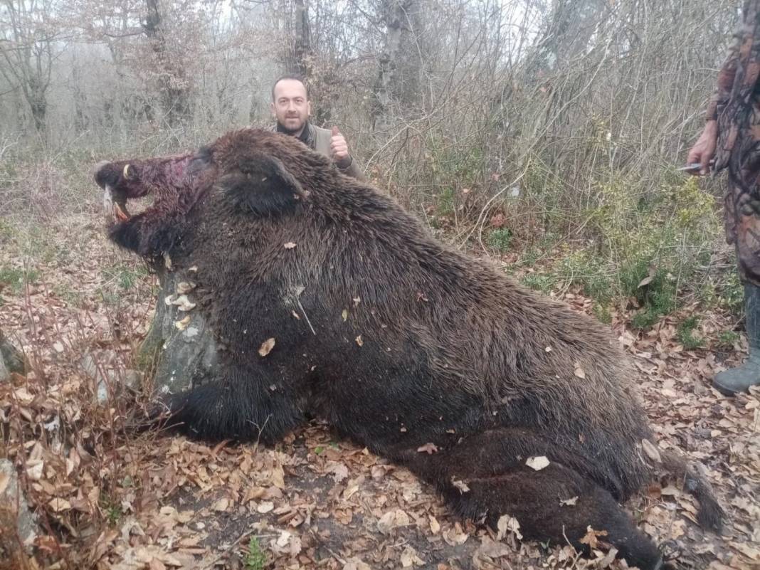 İlginç görüntü! Türkiye'de kış uykusuna yatmayan ve süper istilacı aynı karede 6