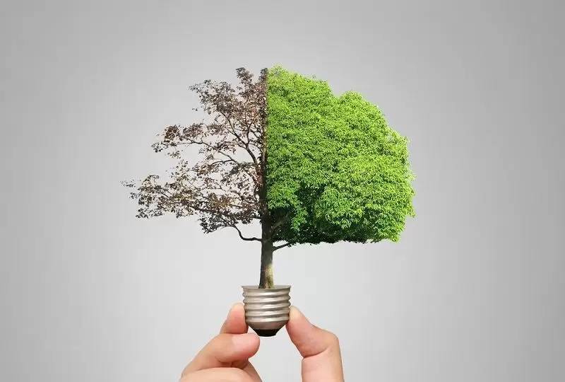 Yılda 100 bin TL biriktirmek istiyorsanız bu haber sizin için! 11