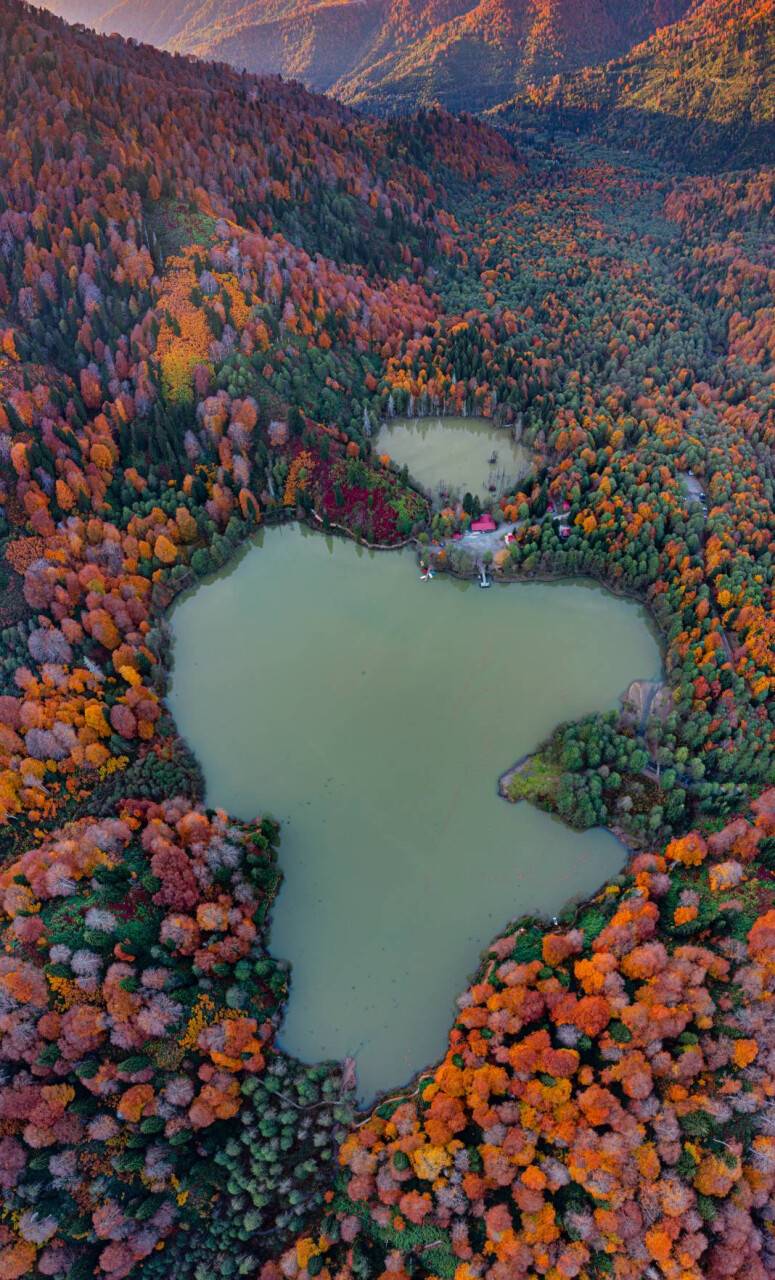 Borçka Karagöl Tabiat Parkı sonbahar renkleriyle büyülüyor 2