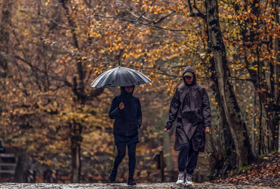 Sonbaharın renkleri İstanbul'u sardı 1