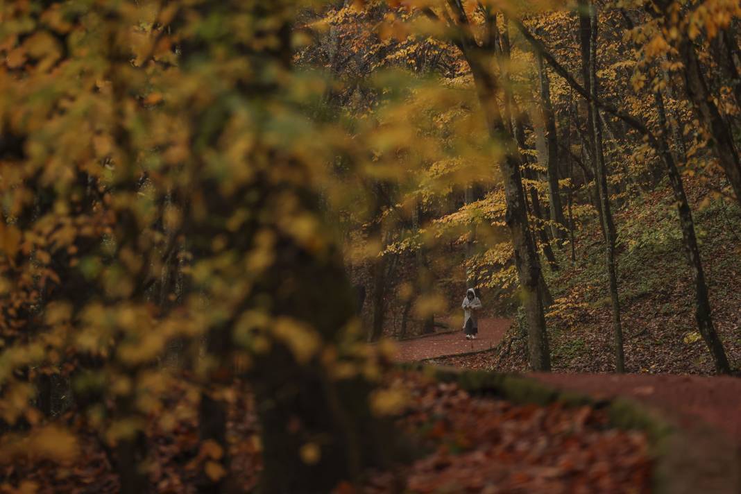Sonbaharın renkleri İstanbul'u sardı 2