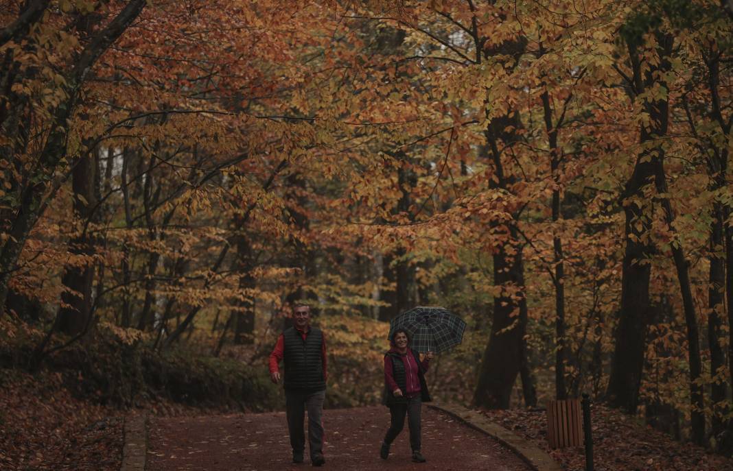 Sonbaharın renkleri İstanbul'u sardı 3
