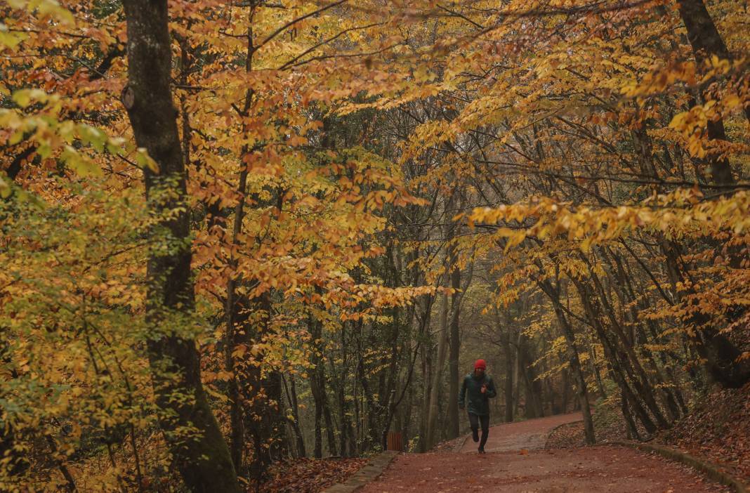 Sonbaharın renkleri İstanbul'u sardı 4