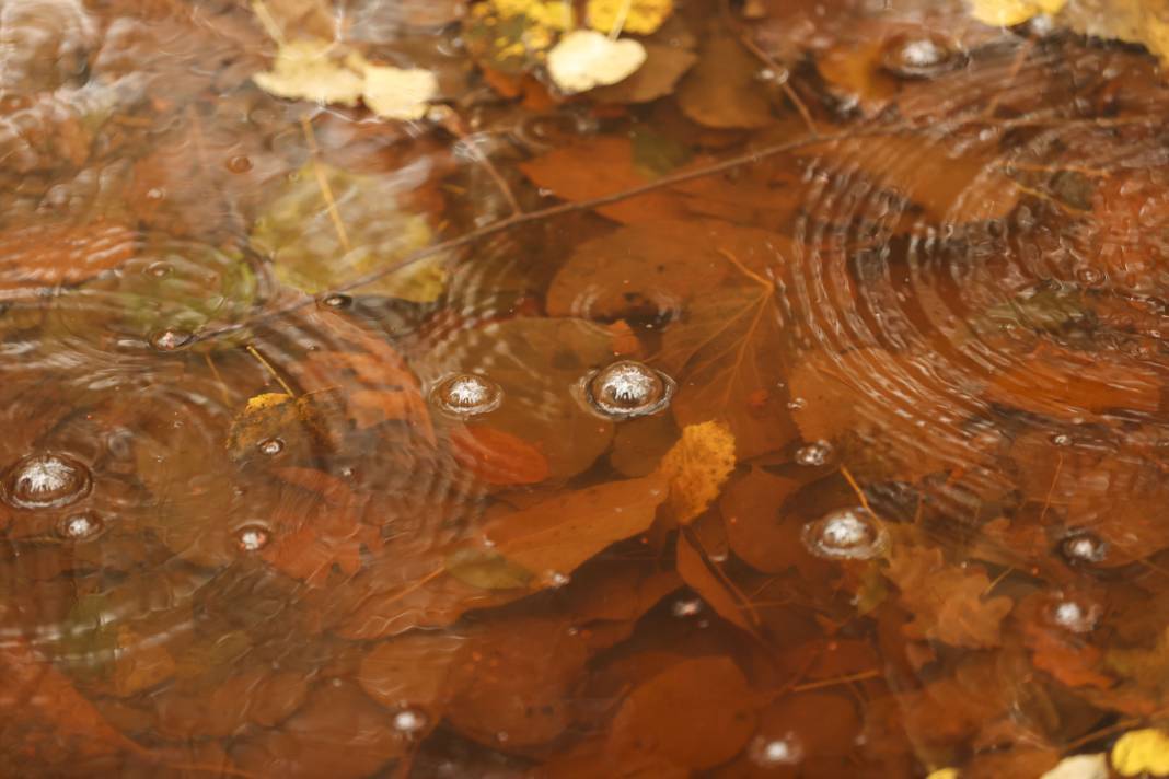 Sonbaharın renkleri İstanbul'u sardı 7