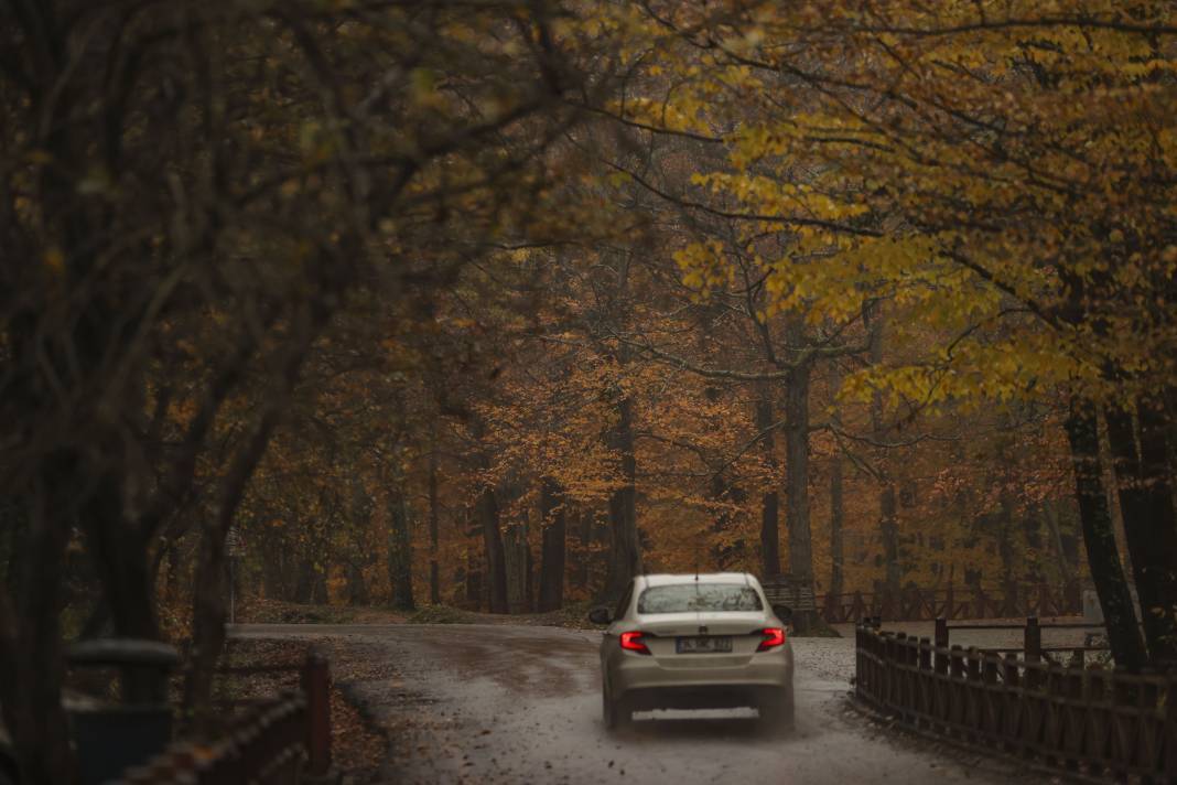 Sonbaharın renkleri İstanbul'u sardı 5