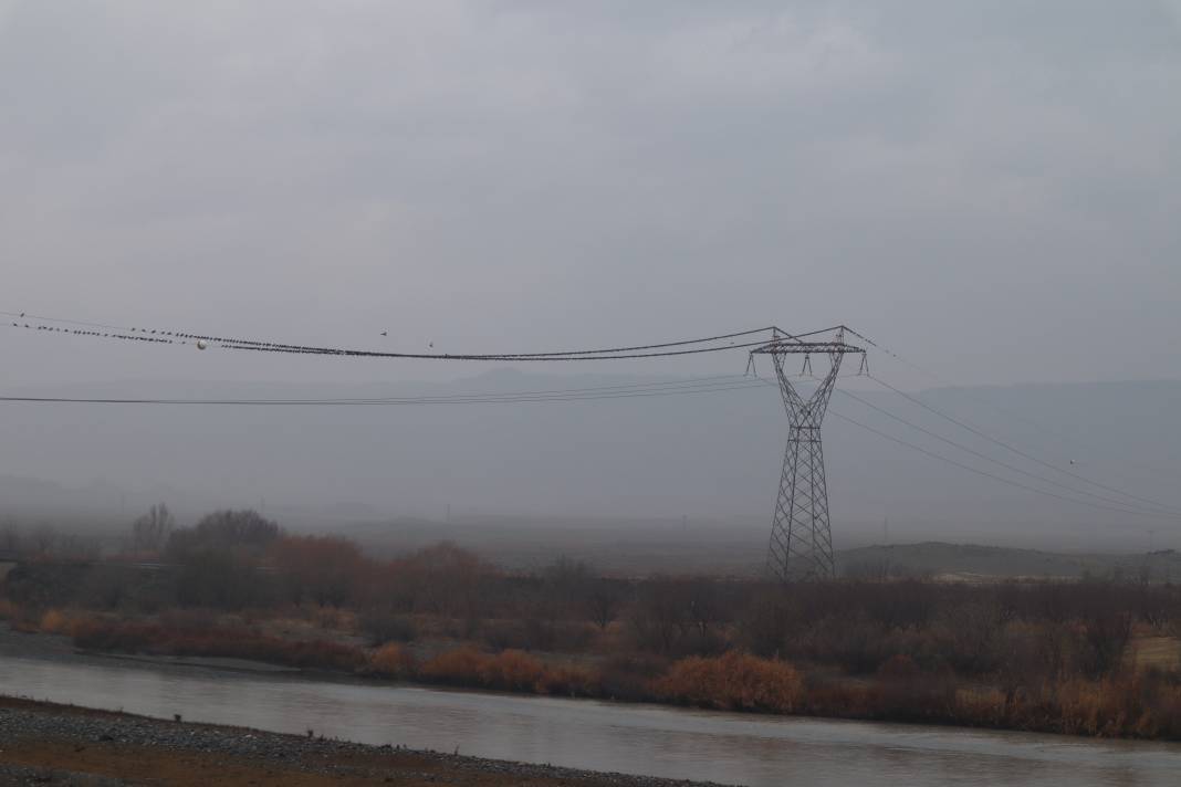 Aras Vadisi ve çevresi doğa tutkunlarını cezbediyor 4