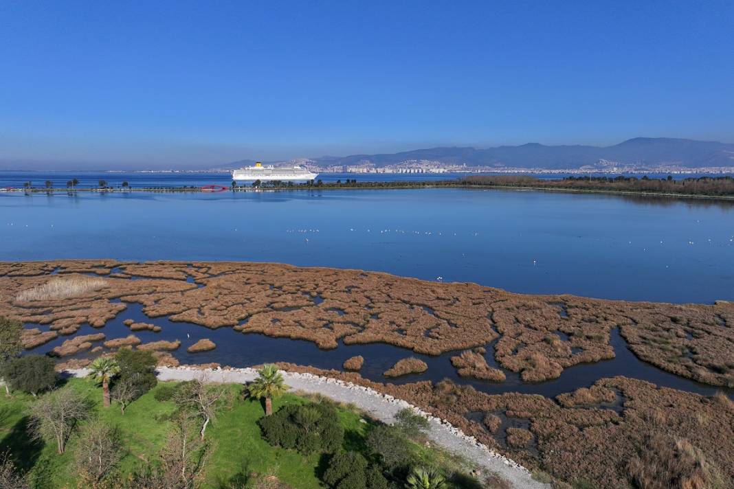 Çakalburnu Lagünü İzmir'in doğal zenginliği 3