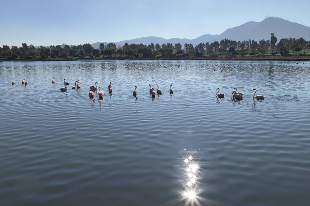 Çakalburnu Lagünü İzmir'in doğal zenginliği 7