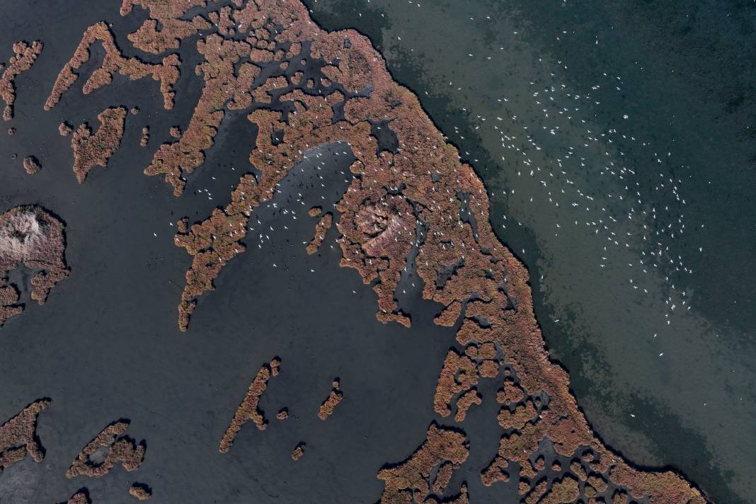 Çakalburnu Lagünü İzmir'in doğal zenginliği 1