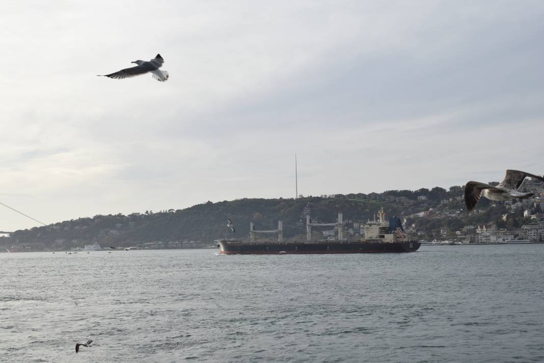 İstanbul'un eşsiz güzelliği fotoğraf karelerine yansıdı 11