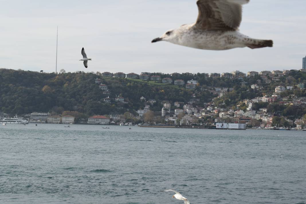 İstanbul Boğazı'nın nefes kesen manzaraları 8