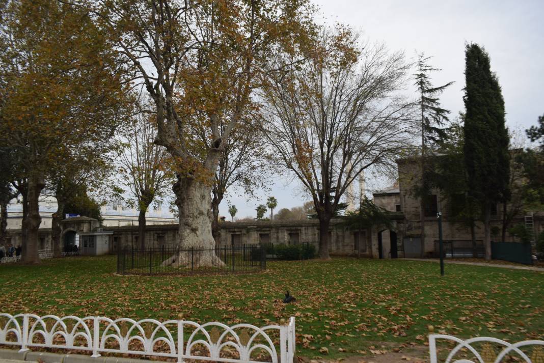 İstanbul'un dokusu fotoğraf karelerine yansıdı 6