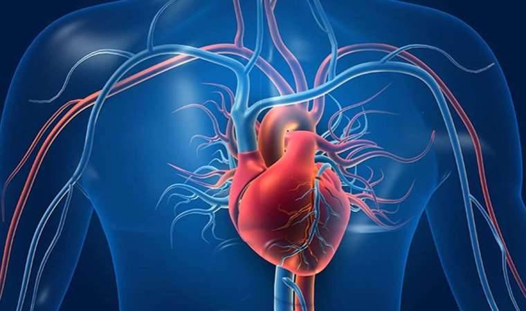 Kalp sağlığını korumanın başlıca yolları 6