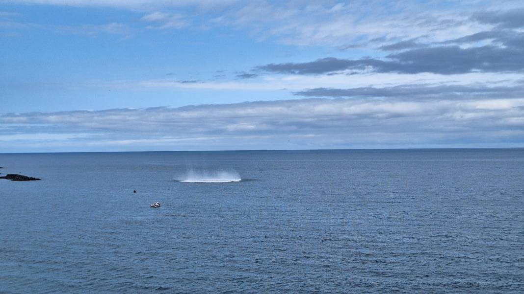 Trabzon açıklarında tehlikeli dakikalar 1