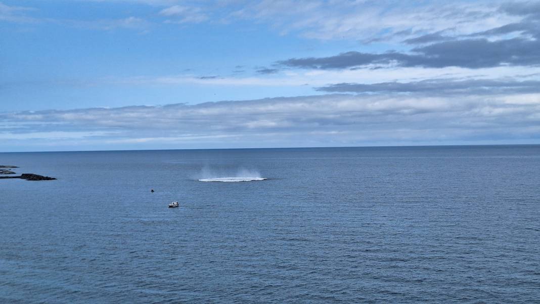 Trabzon açıklarında tehlikeli dakikalar 9