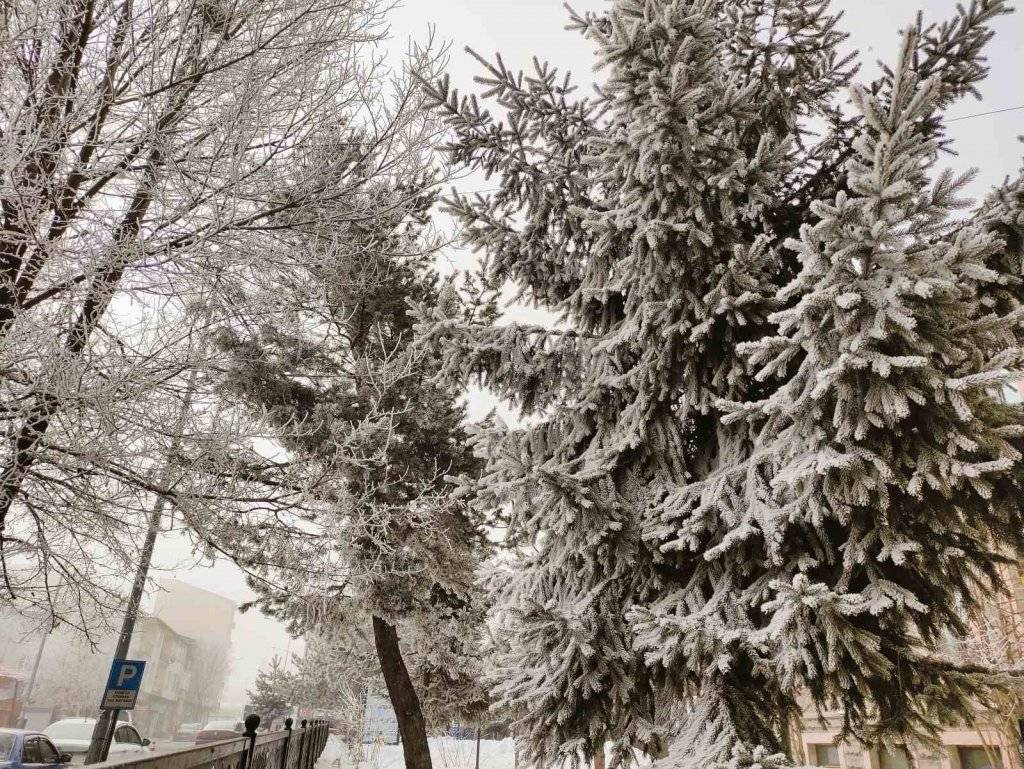 Sibirya soğukları Ardahan'ı beyaza bürüdü! 2