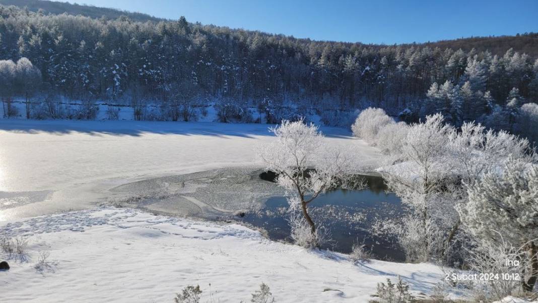 Doğa buzdan heykele döndü: Göletler ve ağaçlar buzla kaplandı! 3