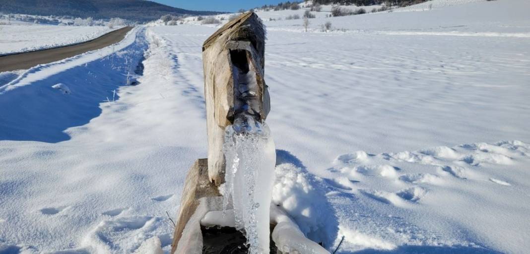 Doğa buzdan heykele döndü: Göletler ve ağaçlar buzla kaplandı! 5
