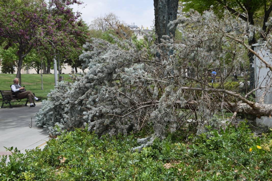Konya'da fırtına ağaçların belini büktü 2