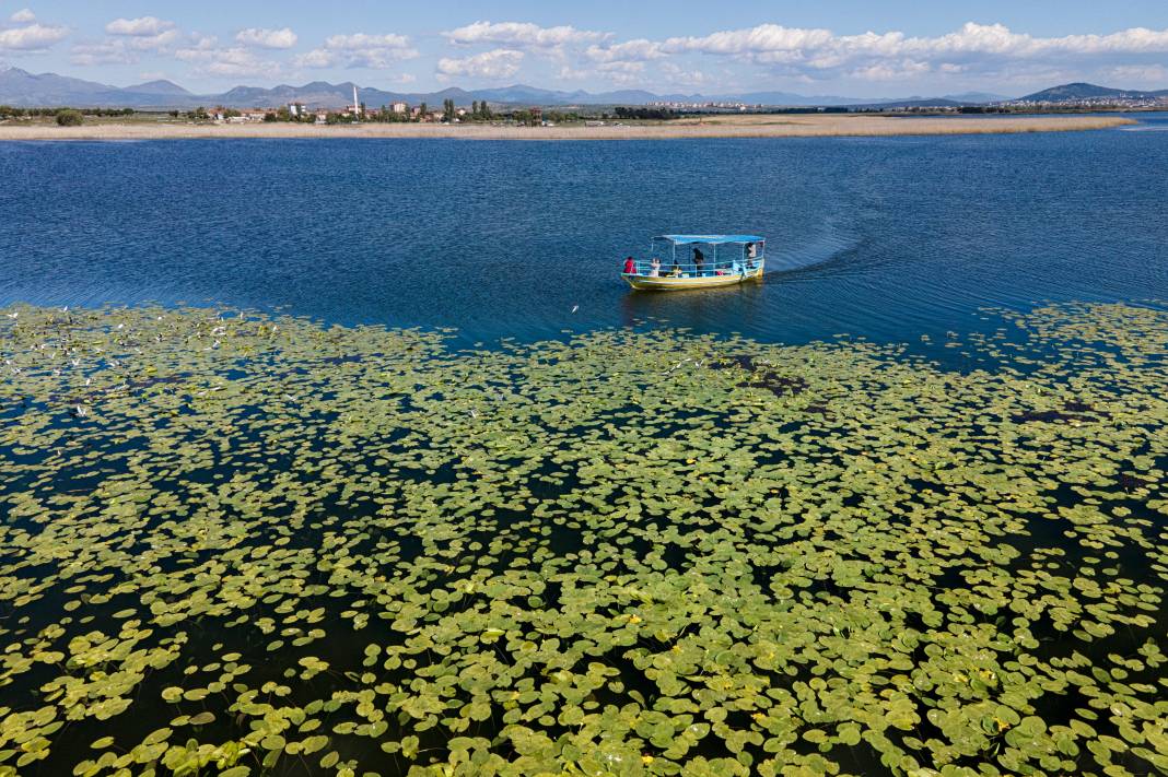 Beyşehir Gölü'nde nilüferler açtı tekne turlarına  ilgi arttı! 1