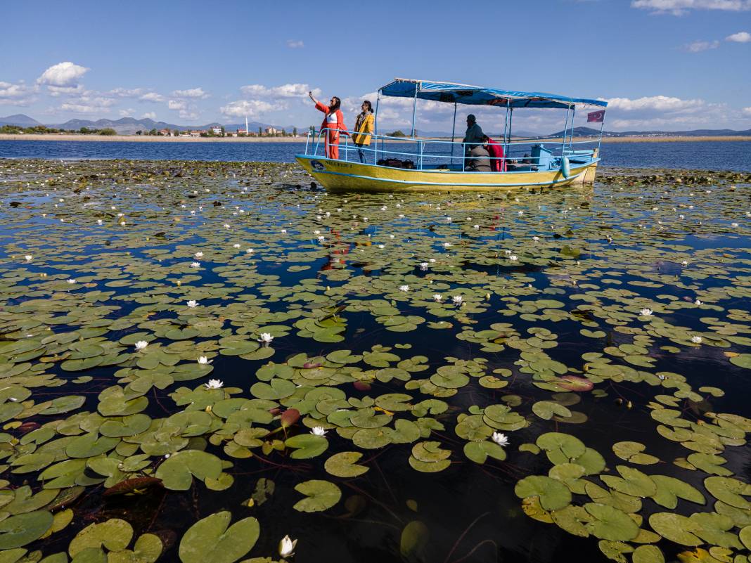 Beyşehir Gölü'nde nilüferler açtı tekne turlarına  ilgi arttı! 6