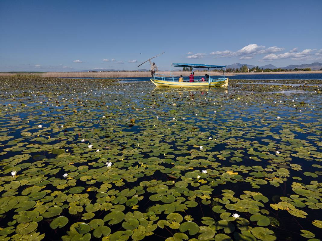 Beyşehir Gölü'nde nilüferler açtı tekne turlarına  ilgi arttı! 10