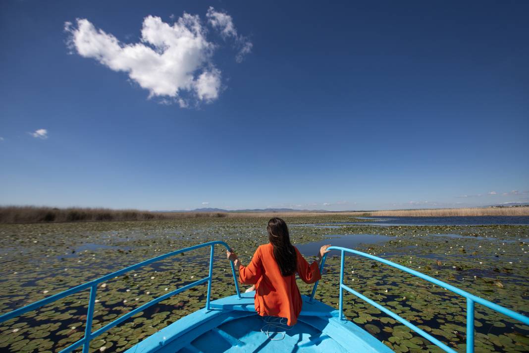 Beyşehir Gölü'nde nilüferler açtı tekne turlarına  ilgi arttı! 17