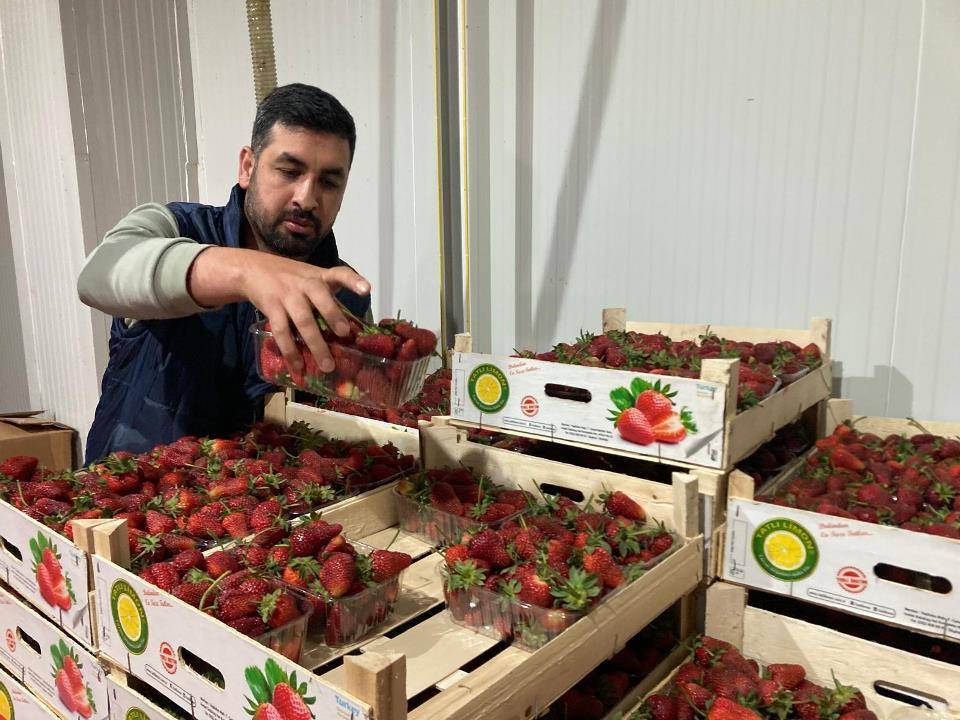 Konya'nın coğrafi tescilli ürünü ilçenin istihdam kapısı oldu! 7