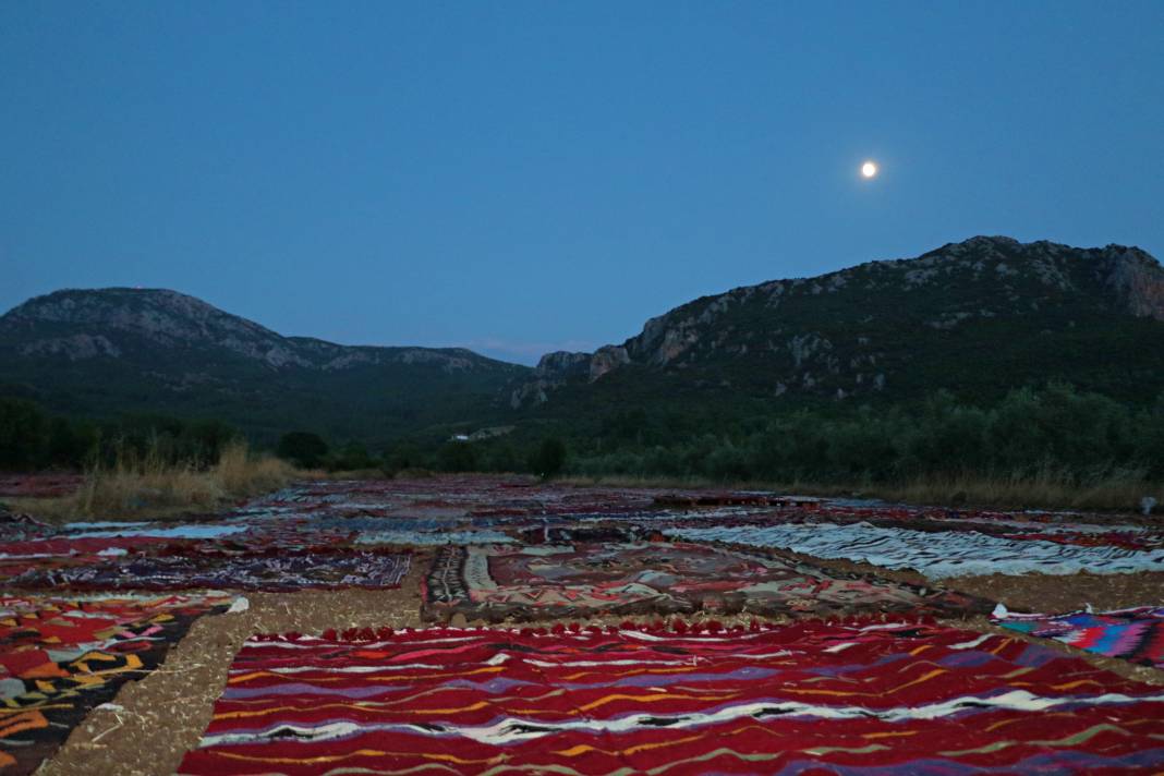 Tarlada milyonluk halı nöbeti 8