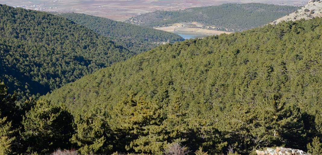 Konya’nın gizli hazinesi görenleri büyülüyor 4