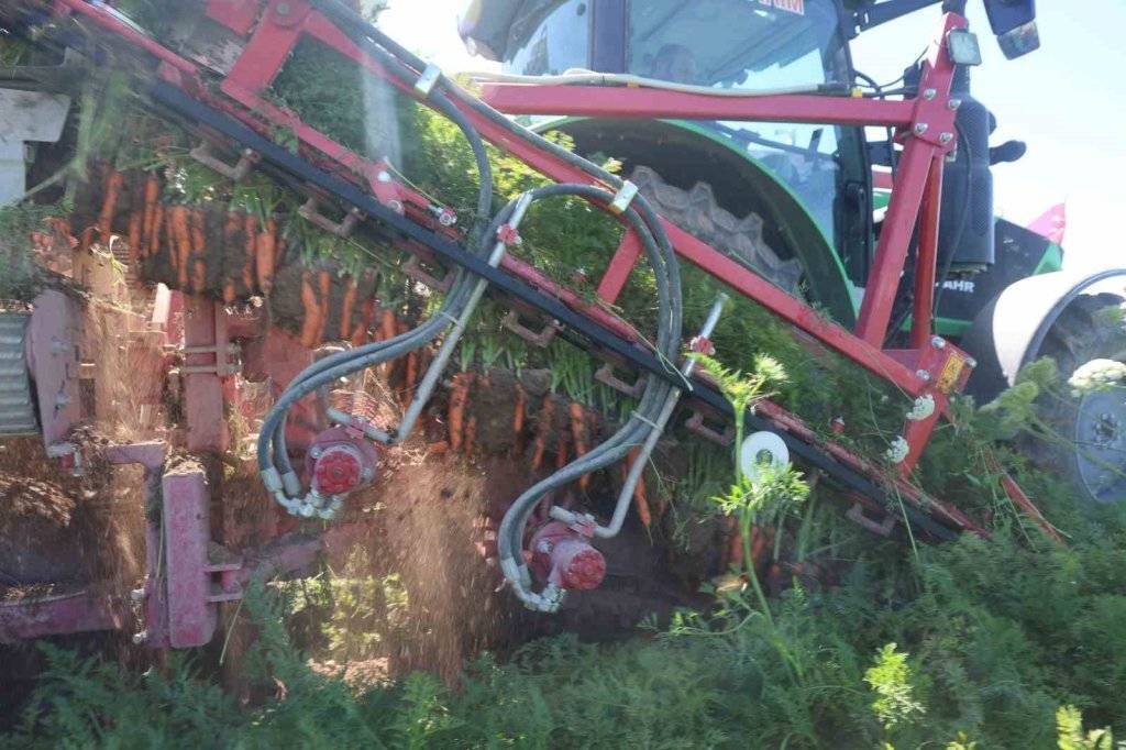 Lezzetini Konya'dan alıyor! Havuç üretiminde yüzde 500 artış 1