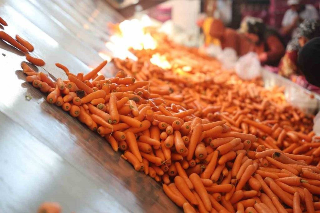 Lezzetini Konya'dan alıyor! Havuç üretiminde yüzde 500 artış 11