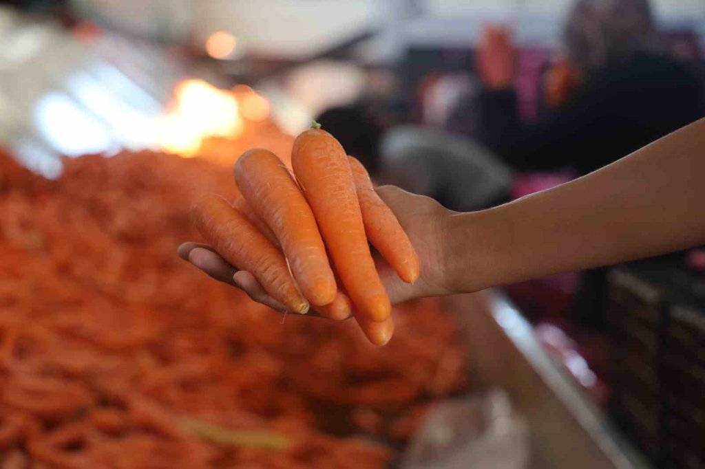 Lezzetini Konya'dan alıyor! Havuç üretiminde yüzde 500 artış 8