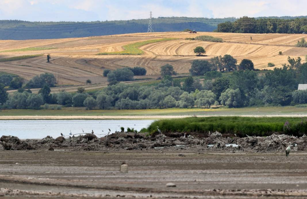 Ladik Gölü görüntüsü ile alarm veriyor! 15