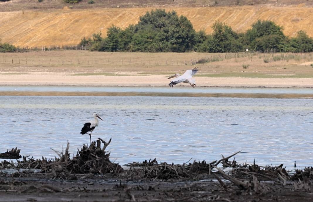 Ladik Gölü görüntüsü ile alarm veriyor! 14