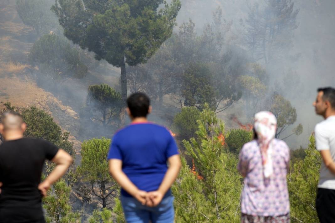 Aydın'daki orman yangınından son görüntüler 7