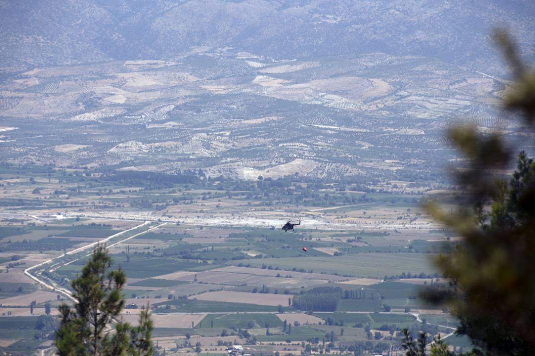 Aydın'daki orman yangınından son görüntüler 3